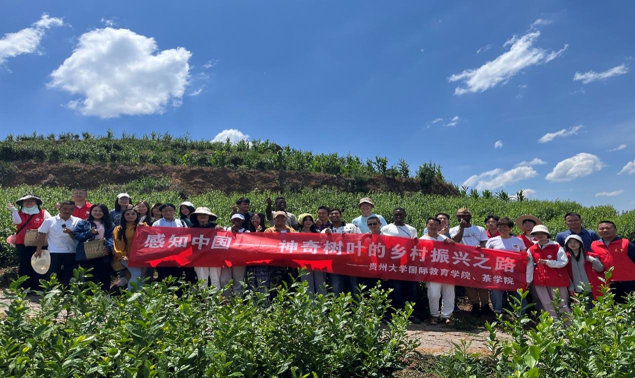 贵州大学国际教育学院“感知中国——神奇树叶的乡村振兴之路”实践活动成功举行