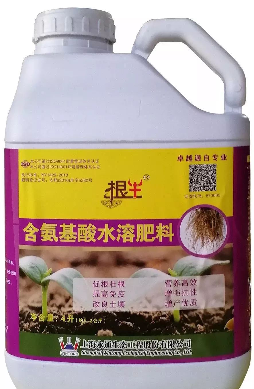 致富经大棚种植技术_致富经大棚种菜技术_大棚里的致富经