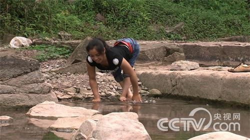 [致富经]她是真不简单(20150724)