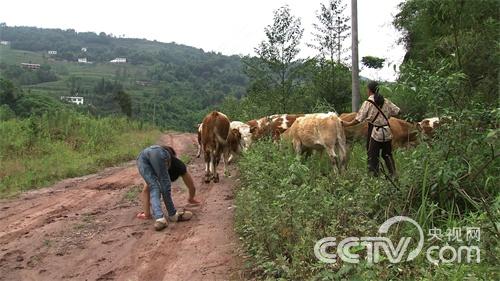 致富经：她是真不简单