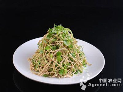 豫艺冬福80白菜批发价格