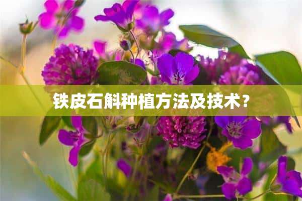 铁皮石斛种植方法及技术？