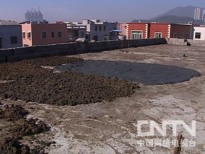 中央7台养老鼠致富经_中央7台养老鼠致富经_中央7台养老鼠致富经