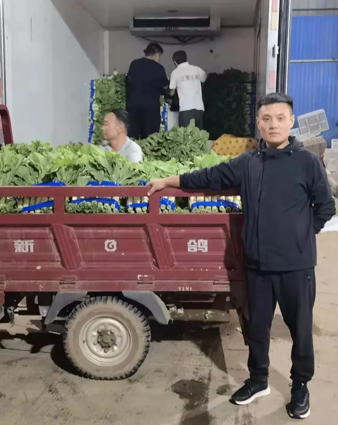 中国种植蔬菜致富吗_种蔬菜致富经_致富经蔬菜种植视频