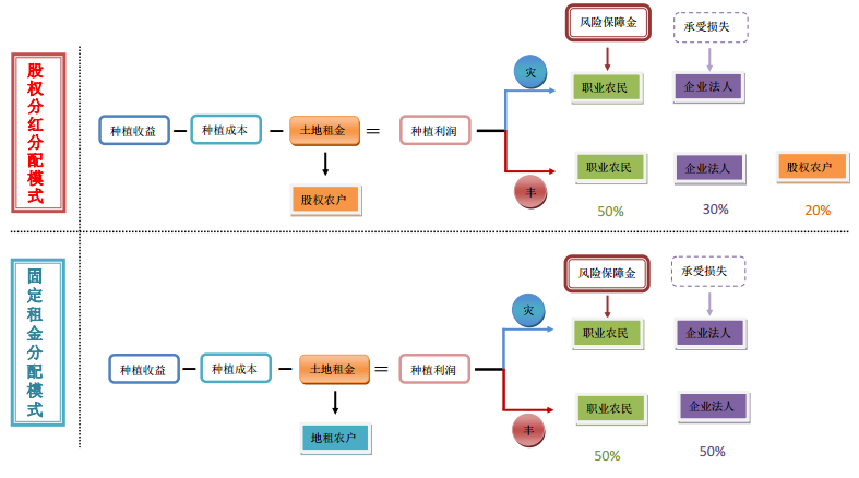 2019年全国农民合作社典型案例之三：河北省南和县金沙河农作物种植专业合作社