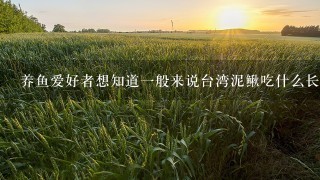 养鱼爱好者想知道1般来说台湾泥鳅吃什么长的比较快