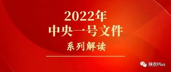 家庭农场主 合作社带头人 乡村服务人才 乡村振兴急需培育三类人才