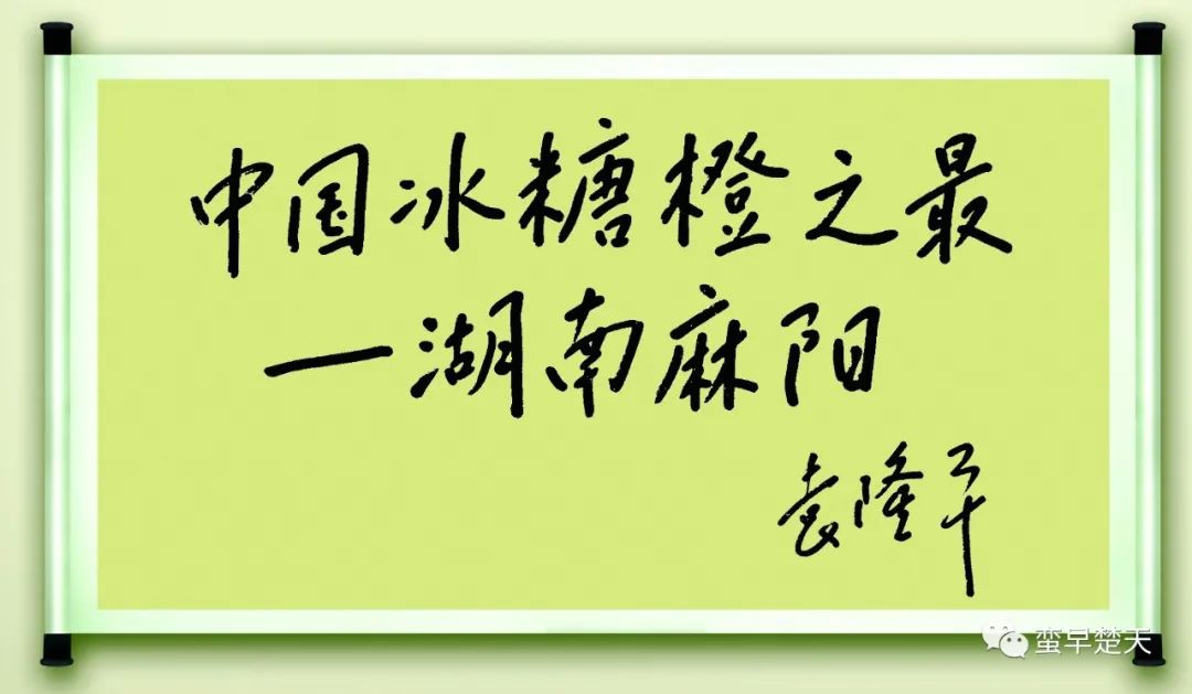 致富经甲鱼养殖视频播放_致富经2018全集稻田养甲鱼_致富经河洲甲鱼