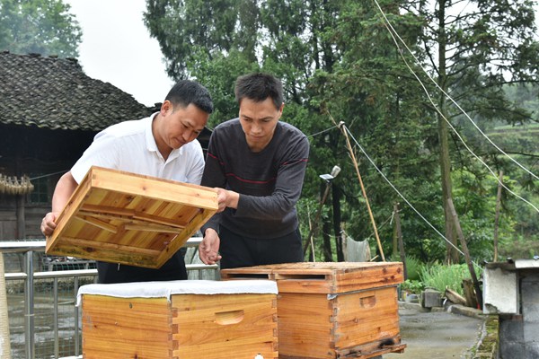 鹿人工养殖技术_鹿养殖人工技术有哪些_鹿养殖人工技术规范