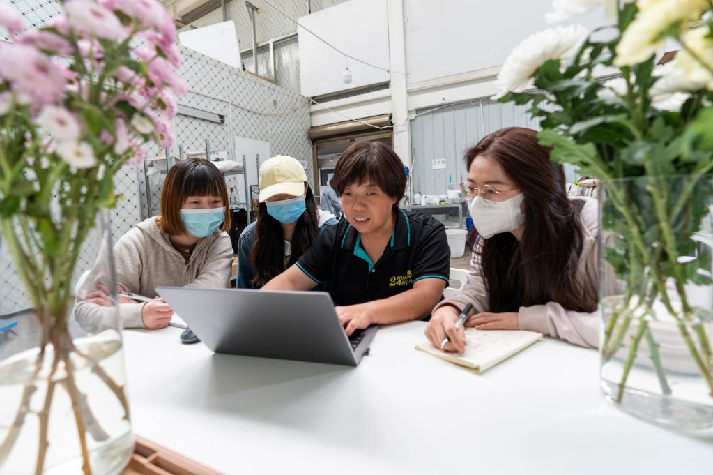 花卉种植大户 致富经_种花致富选什么品种_花卉致富大户种植方案