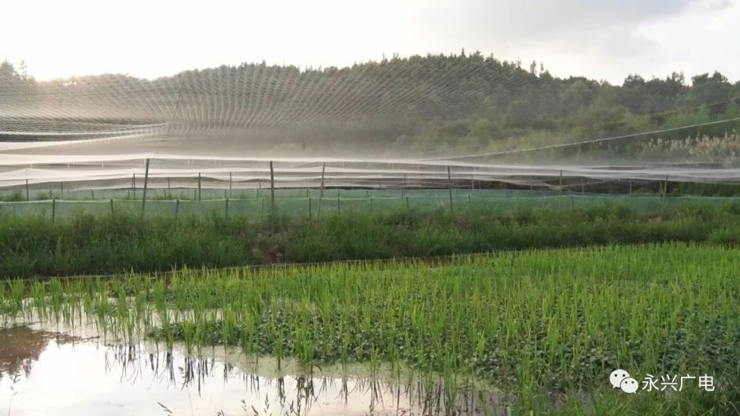 立体种植养殖模式视频_立体养殖技术_立体种植养殖致富