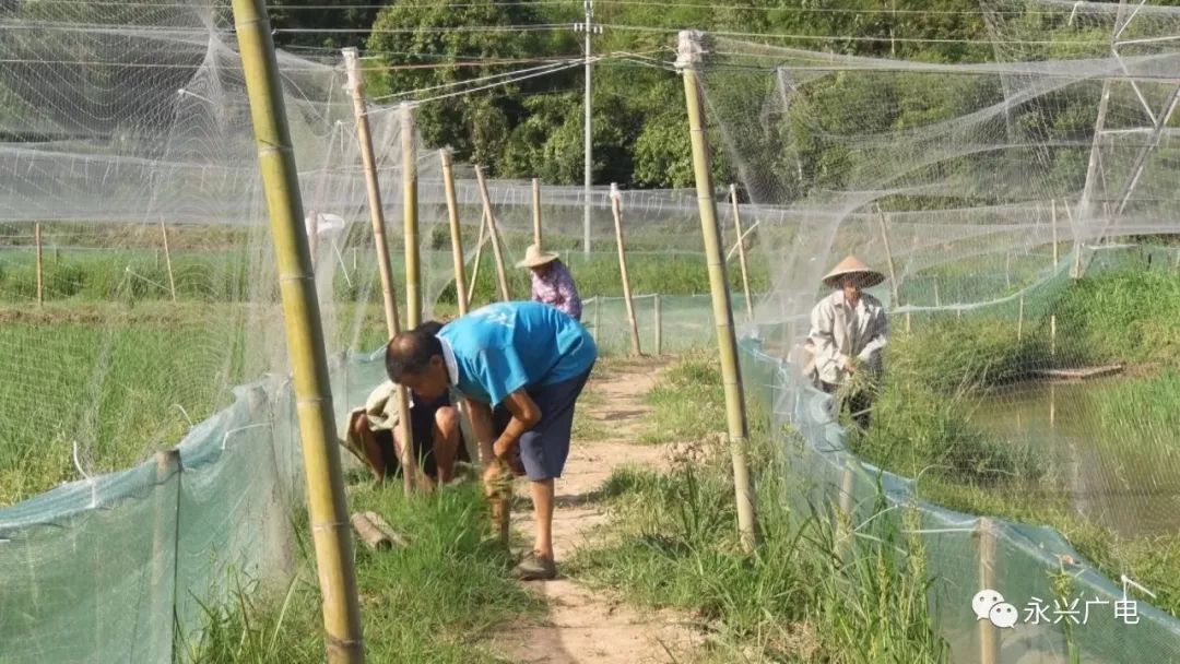 立体种植养殖模式视频_立体种植养殖致富_立体养殖技术