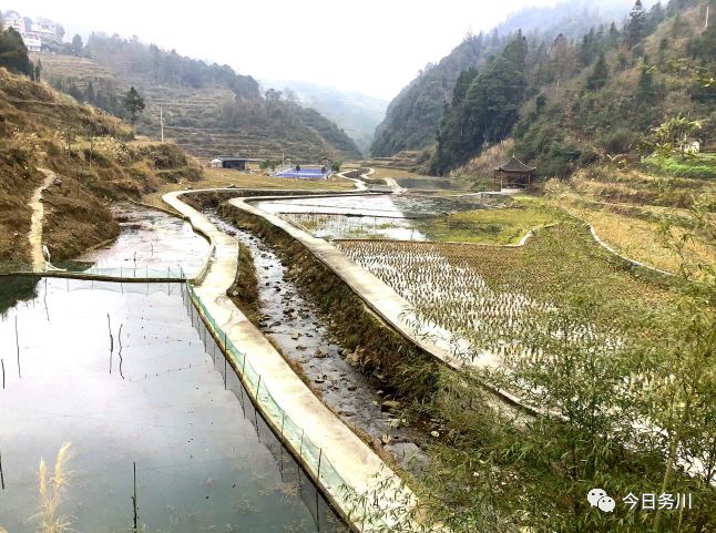 致富养殖青鳅鱼_青鳅养殖致富_致富养殖青鳅视频