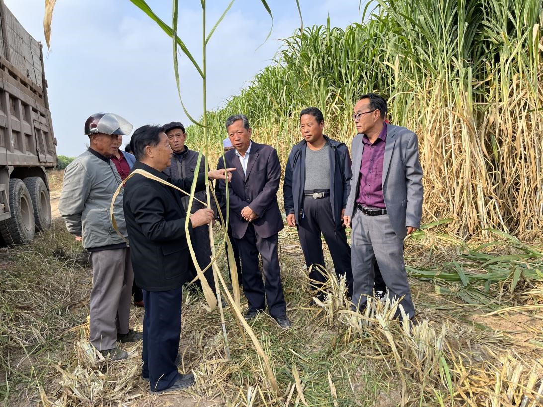 农民工致富门路_19岁农民工种植致富_农民种地致富