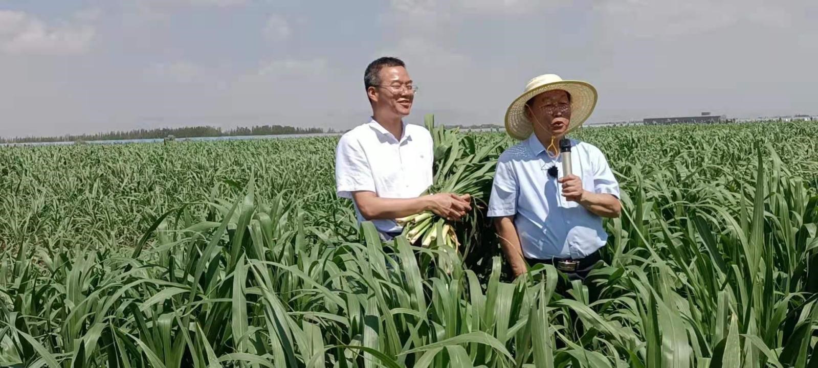 农民工致富门路_农民种地致富_19岁农民工种植致富