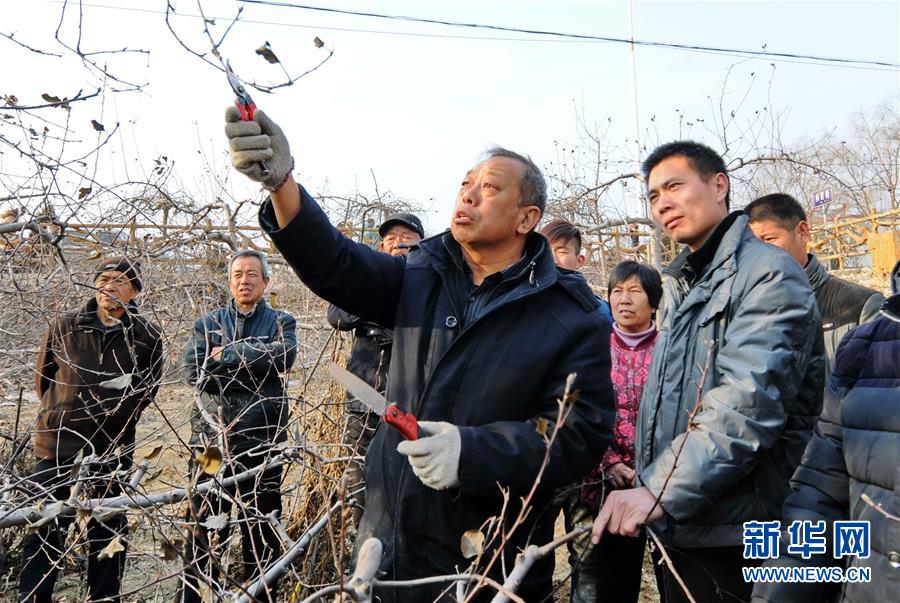 （壮丽70年·奋斗新时代——共和国荣光·图文互动）（2）太行山上的新愚公——记“人民楷模”国家荣誉称号获得者李保国