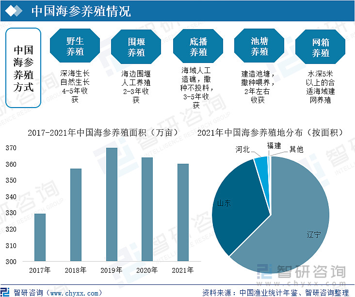 海参养殖利润怎么样_海参养殖投资_海参养殖致富