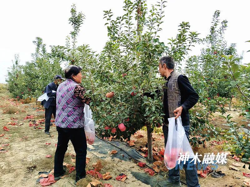 养殖致富网视频_神木养殖致富视频_养殖致富之路