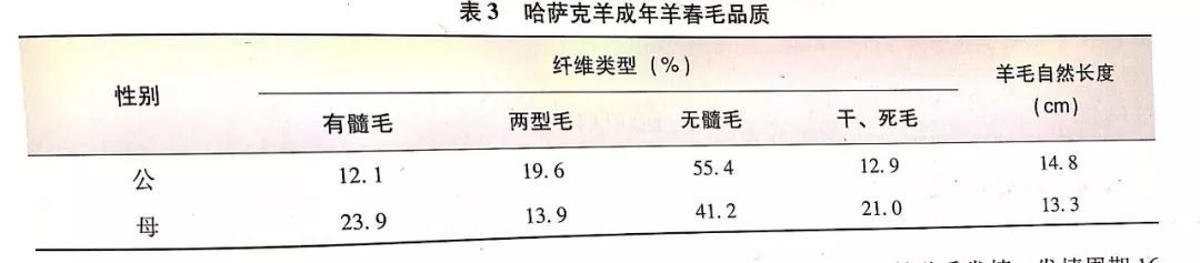 养殖羊大户_大尾羊养殖技术_大型养殖羊的羊的视频