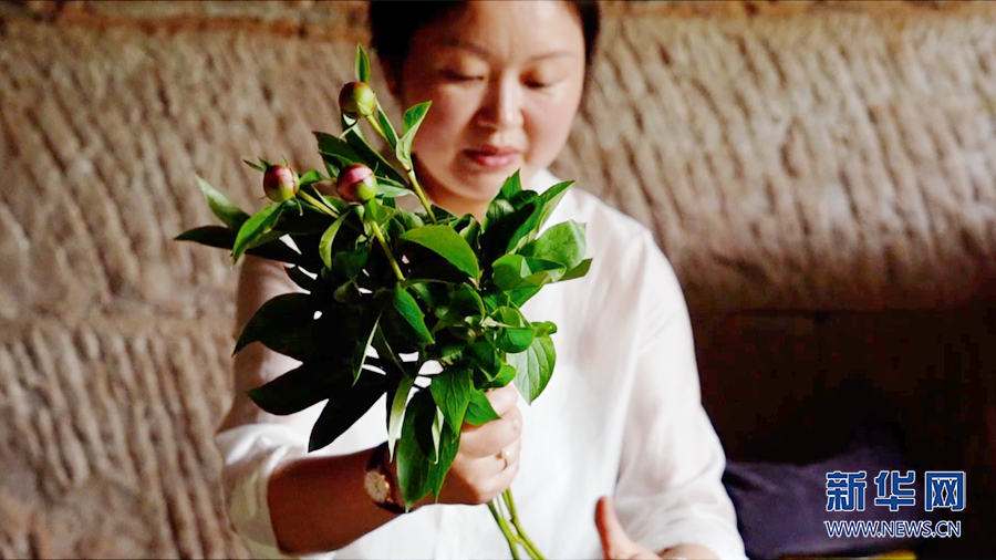 重庆种植什么最赚钱农村_致富经种植明星重庆篇_重庆种植什么