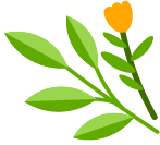 种植葫芦的前景_种西葫芦视频_种植西葫芦致富