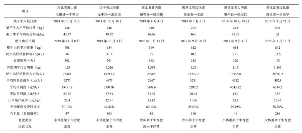 东北母牛养殖技术_养殖东北母牛技术与管理_养殖东北母牛技术要求