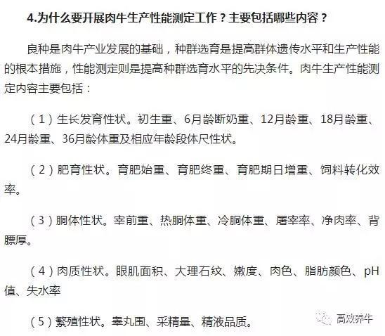 东北母牛养殖技术_养殖东北母牛技术视频_养殖东北母牛技术要求