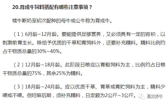 养殖东北母牛技术要求_东北母牛养殖技术_养殖东北母牛技术视频