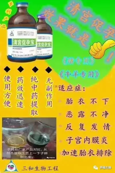 东北母牛养殖技术_养殖东北母牛技术要求_养殖东北母牛技术视频