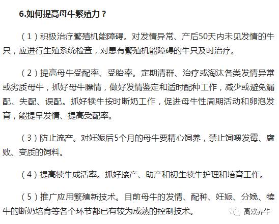 养殖东北母牛技术视频_东北母牛养殖技术_养殖东北母牛技术要求