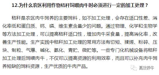 养殖东北母牛技术要求_东北母牛养殖技术_养殖东北母牛技术视频