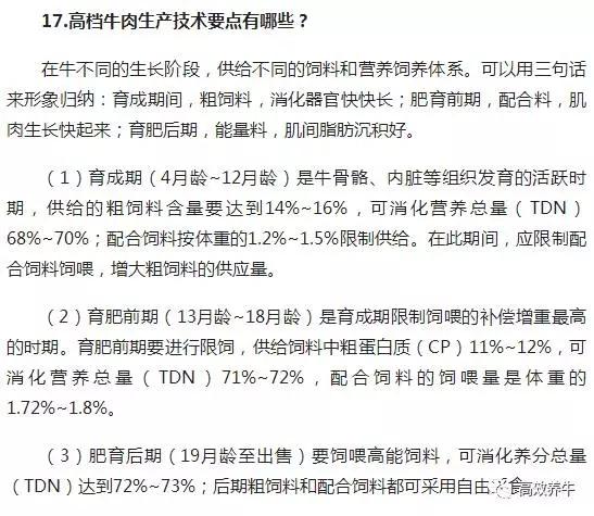 养殖东北母牛技术要求_东北母牛养殖技术_养殖东北母牛技术视频