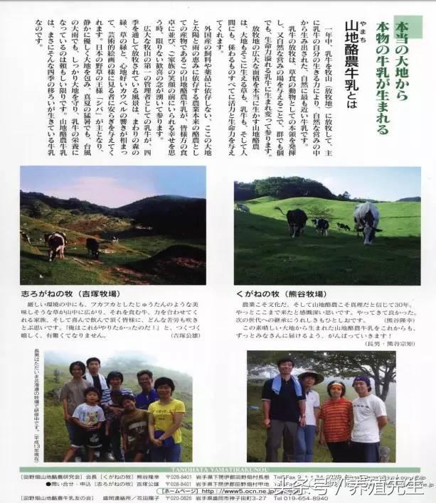 养殖东北母牛技术要求_东北母牛养殖技术_养殖东北母牛技术与管理