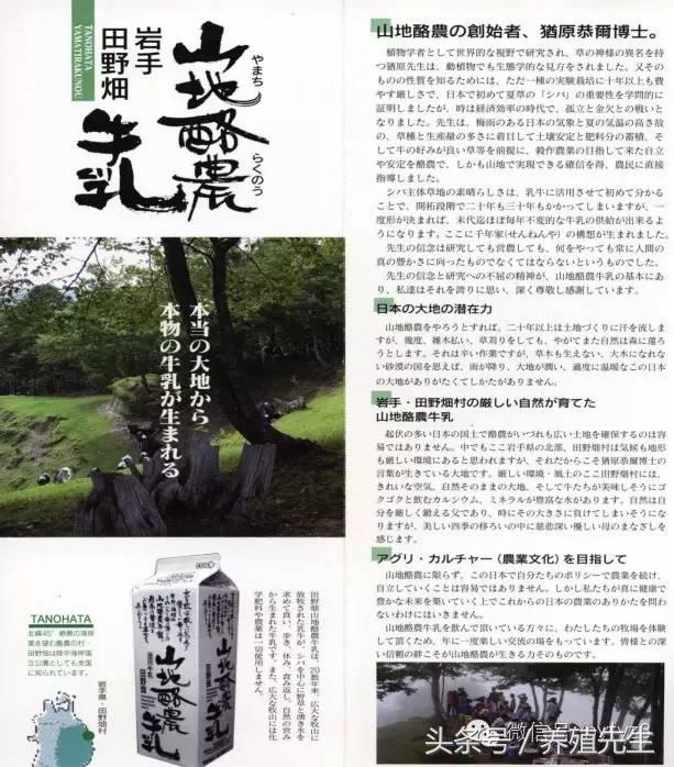 养殖东北母牛技术要求_养殖东北母牛技术与管理_东北母牛养殖技术