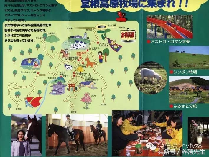 养殖东北母牛技术要求_养殖东北母牛技术与管理_东北母牛养殖技术