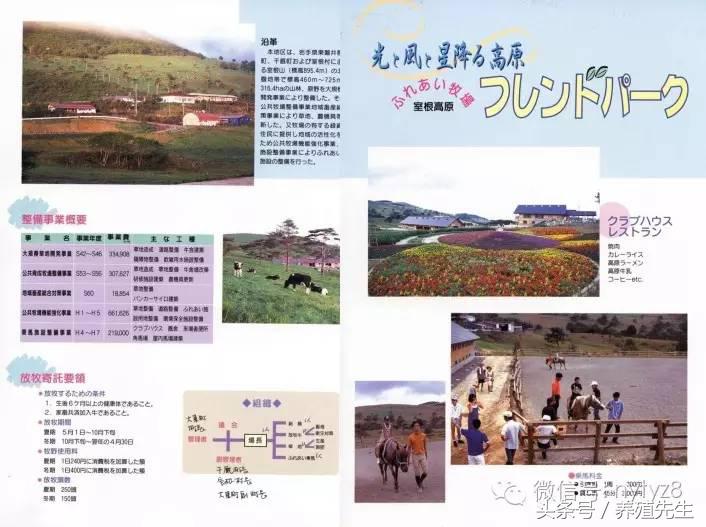 养殖东北母牛技术与管理_养殖东北母牛技术要求_东北母牛养殖技术