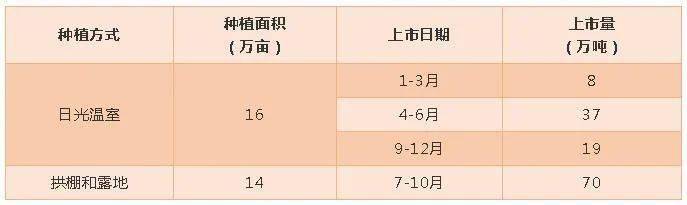 秋季番茄大棚种植技术要点_秋季大棚番茄种植技术_秋季温室大棚番茄管理