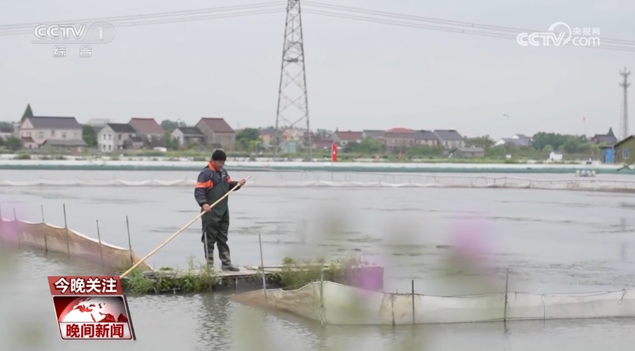 致富经淡水螃蟹养殖_淡水螃蟹养殖的全过程视频教程_淡水养殖螃蟹利润