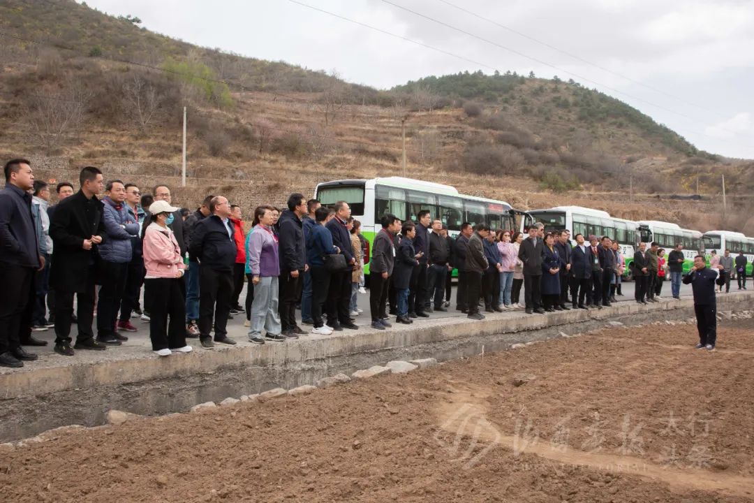 湖北种植致富计划_湖北致富经_湖北地区种植什么最赚钱