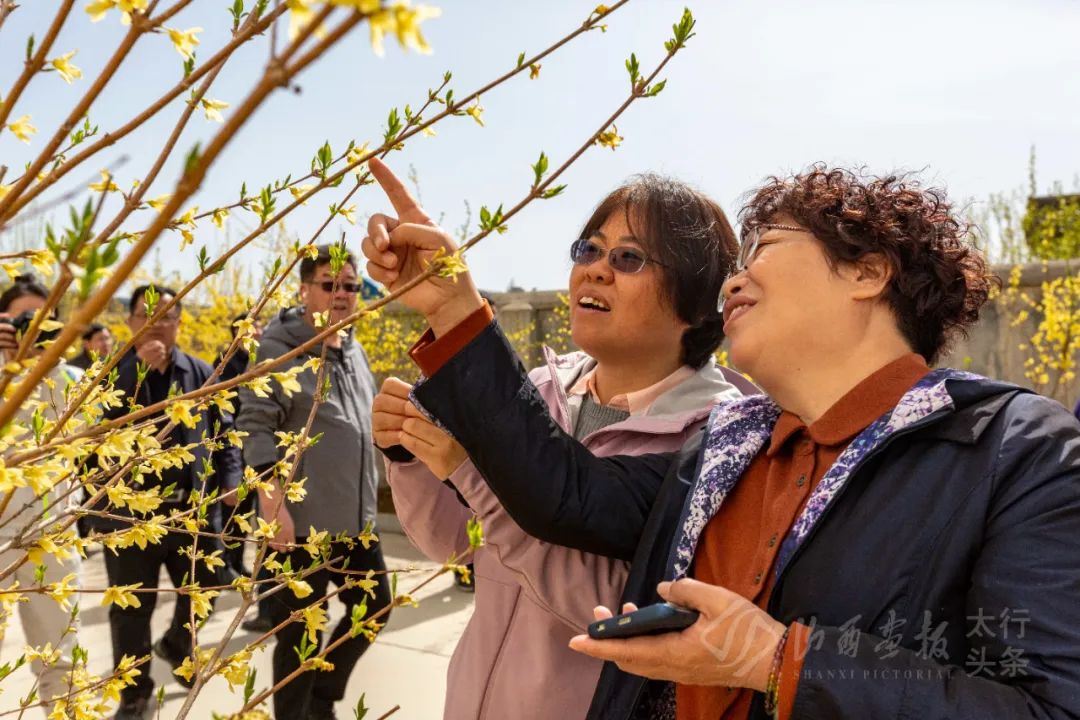 湖北种植致富计划_湖北致富经_湖北地区种植什么最赚钱