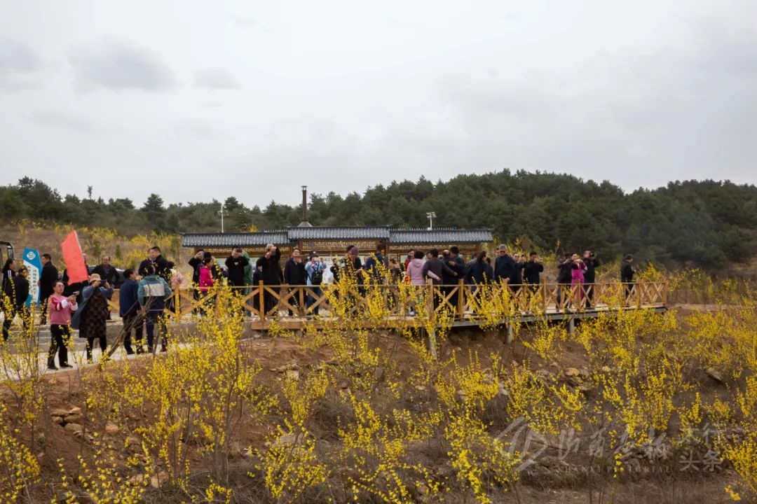 湖北地区种植什么最赚钱_湖北致富经_湖北种植致富计划