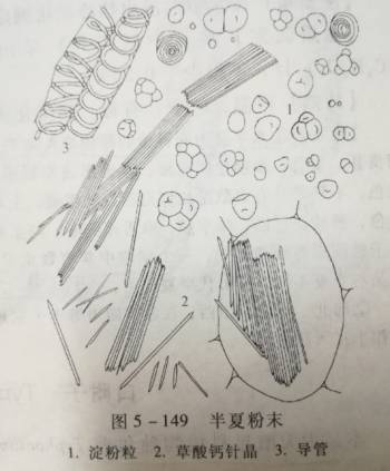 致富经半夏_致富经旱半夏种植视频_致富经种半夏