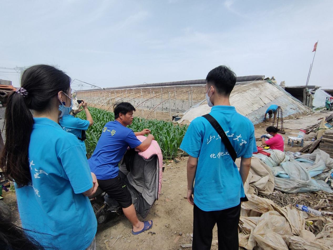 山东种植基地_山东种植什么致富_山东致富经