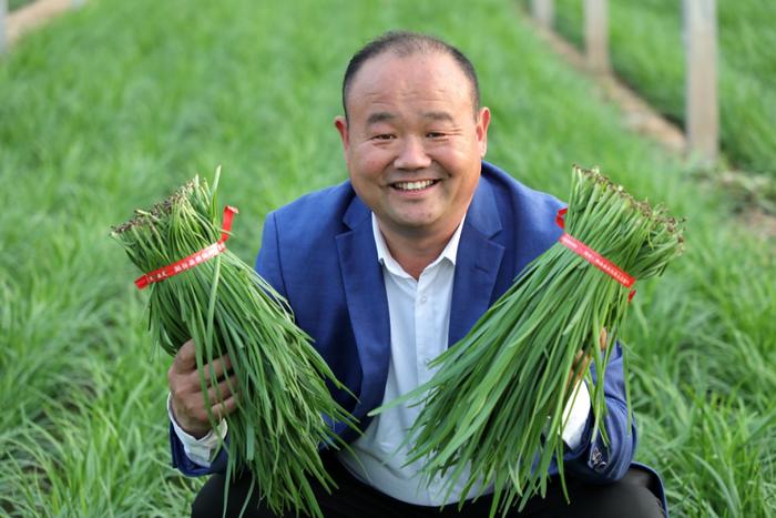 农村集体种植致富_农村致富新项目种植_农村致富种植项目