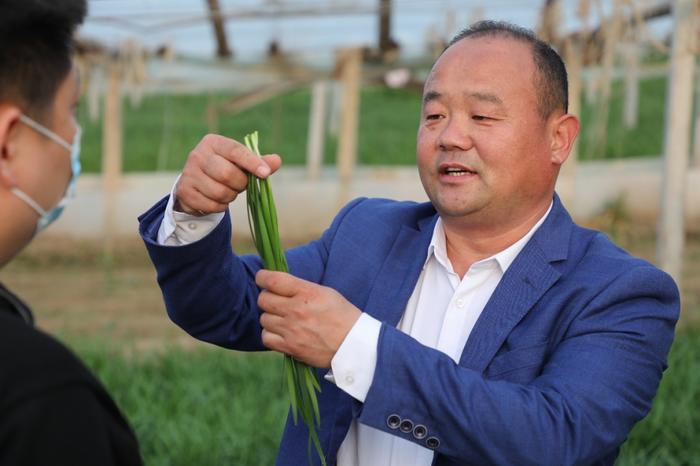 农村致富种植项目_农村致富新项目种植_农村集体种植致富