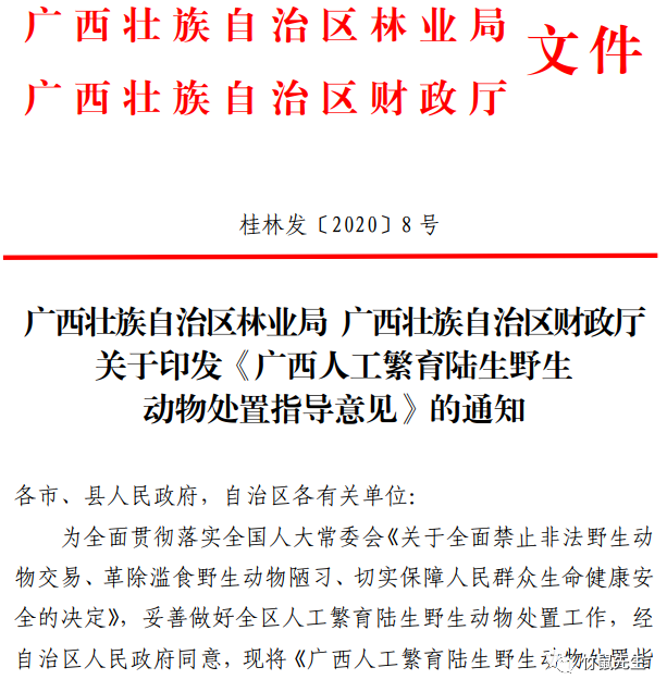 果子狸养殖成本与利润_果子狸人工养殖_广西果子狸养殖技术