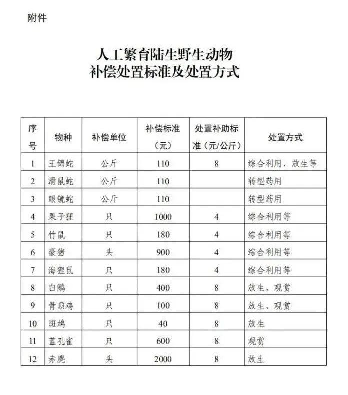 广西果子狸养殖技术_果子狸人工养殖_果子狸养殖成本与利润