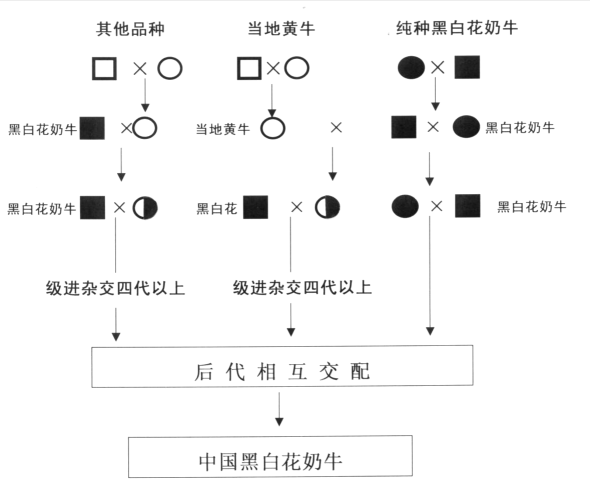 本地田螺养殖技术_田螺养殖前景_养田螺基地在什么地方