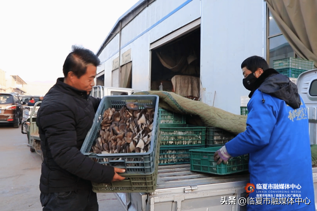 致富经种植业_农民种植致富伞_致富种植视频全集