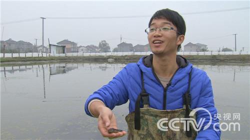 致富经鳜鱼养殖技术视频_鳜鱼养殖最新技术视频7_视频致富养殖鳜鱼技术教程